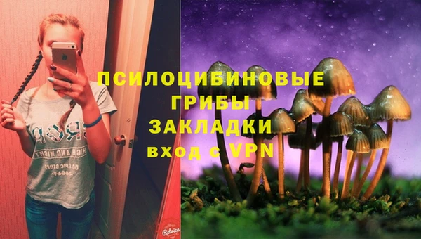 spice Белокуриха