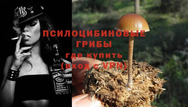 спайс Беломорск