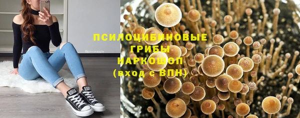 COCAINE Богданович